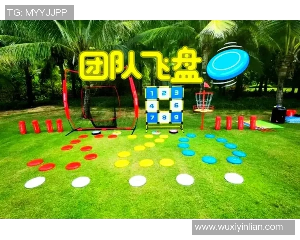 武汉飞盘队与重庆飞盘队赛后技术分析与战术复盘探讨